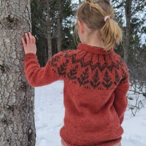 Sitkagreni Kids Sweater in English from Knitter from Iceland